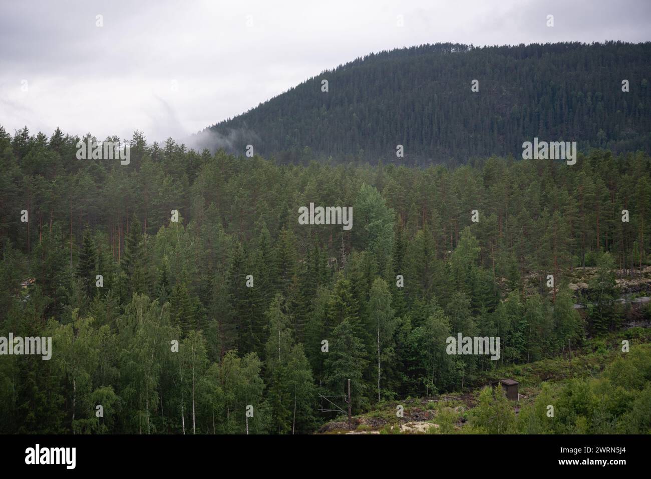 Norwegische Berglandschaft mit Nebel an einem nassen regnerischen Herbsttag. Stockfoto