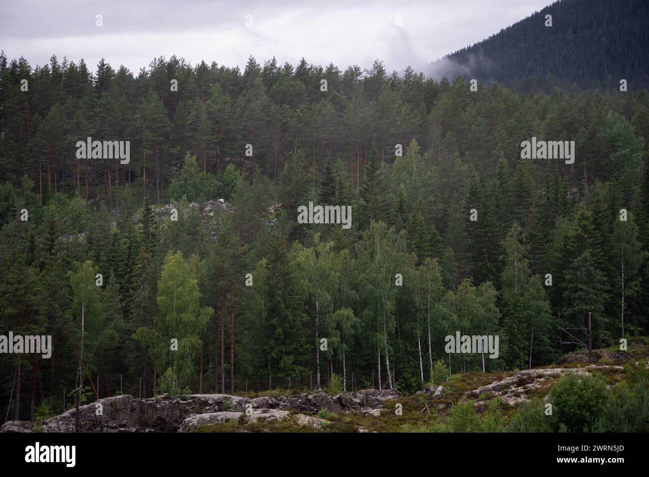 Norwegische Berglandschaft mit Nebel an einem nassen regnerischen Herbsttag. Stockfoto