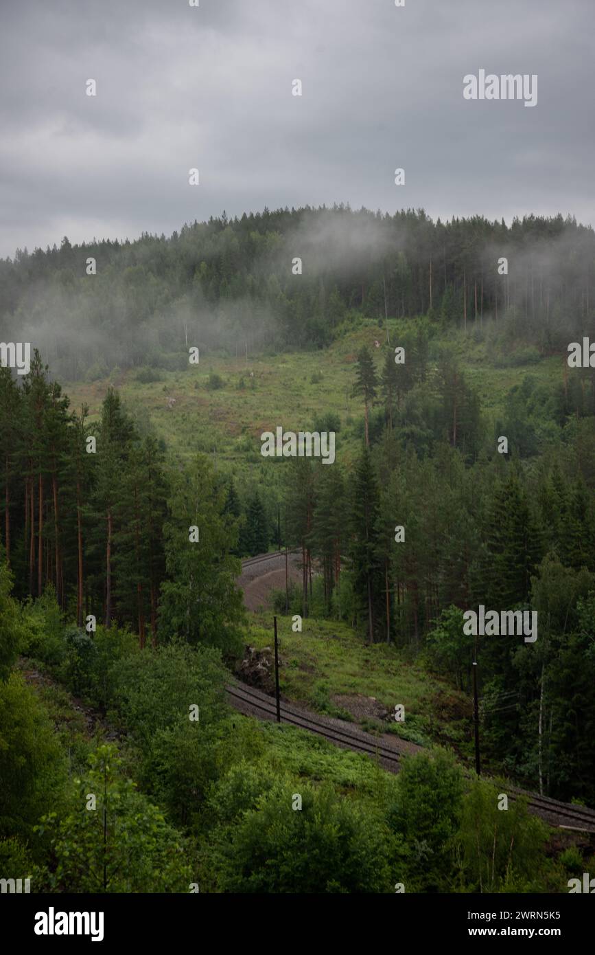 Norwegische Berglandschaft mit grünen Bäumen und weißem Nebel mit Eisenbahngleisen, die durch sie führen. Stockfoto
