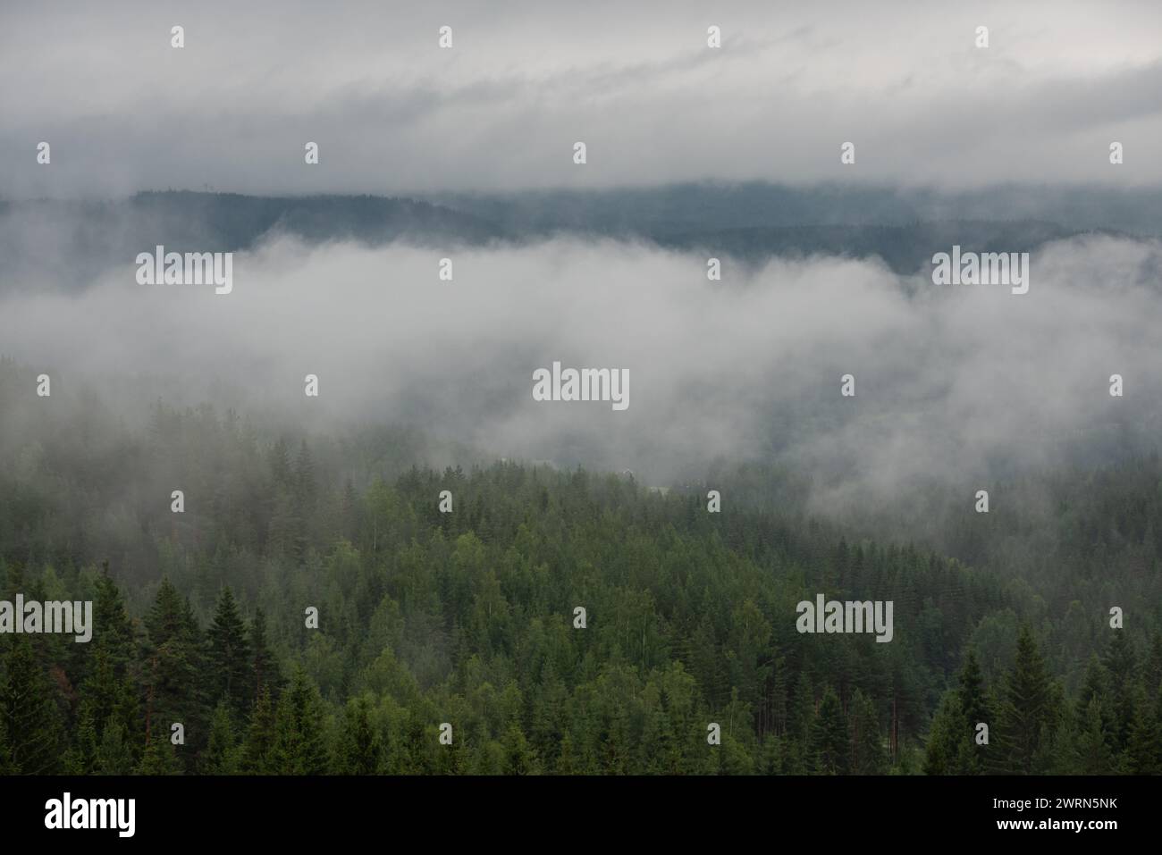Norwegische Landschaft mit weißem Nebel über grünen Bäumen mit Bergen im Hintergrund. Stockfoto
