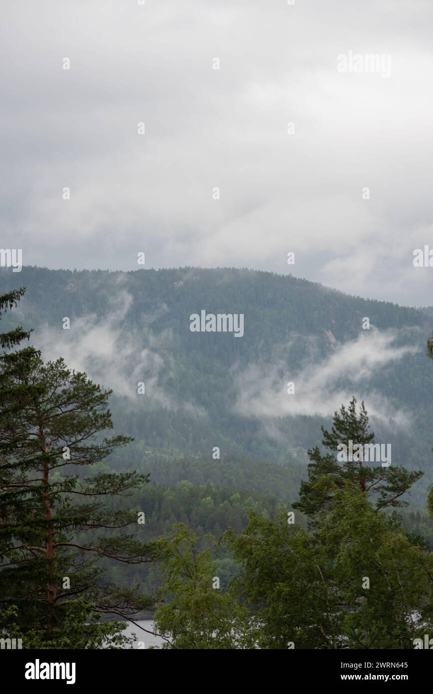 Landschaft mit norwegischen Bergen an einem nebeligen Tag. Stockfoto
