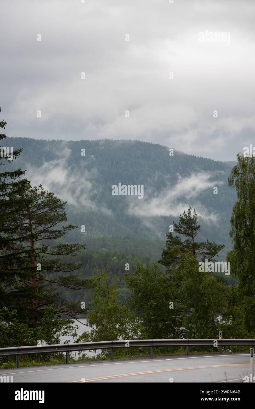 Landschaft mit norwegischen Bergen an einem nebeligen Tag. Stockfoto