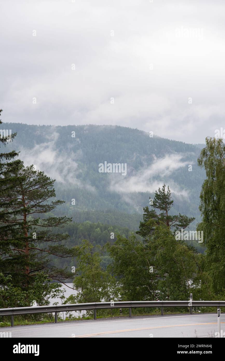 Landschaft mit norwegischen Bergen an einem nebeligen Tag. Stockfoto