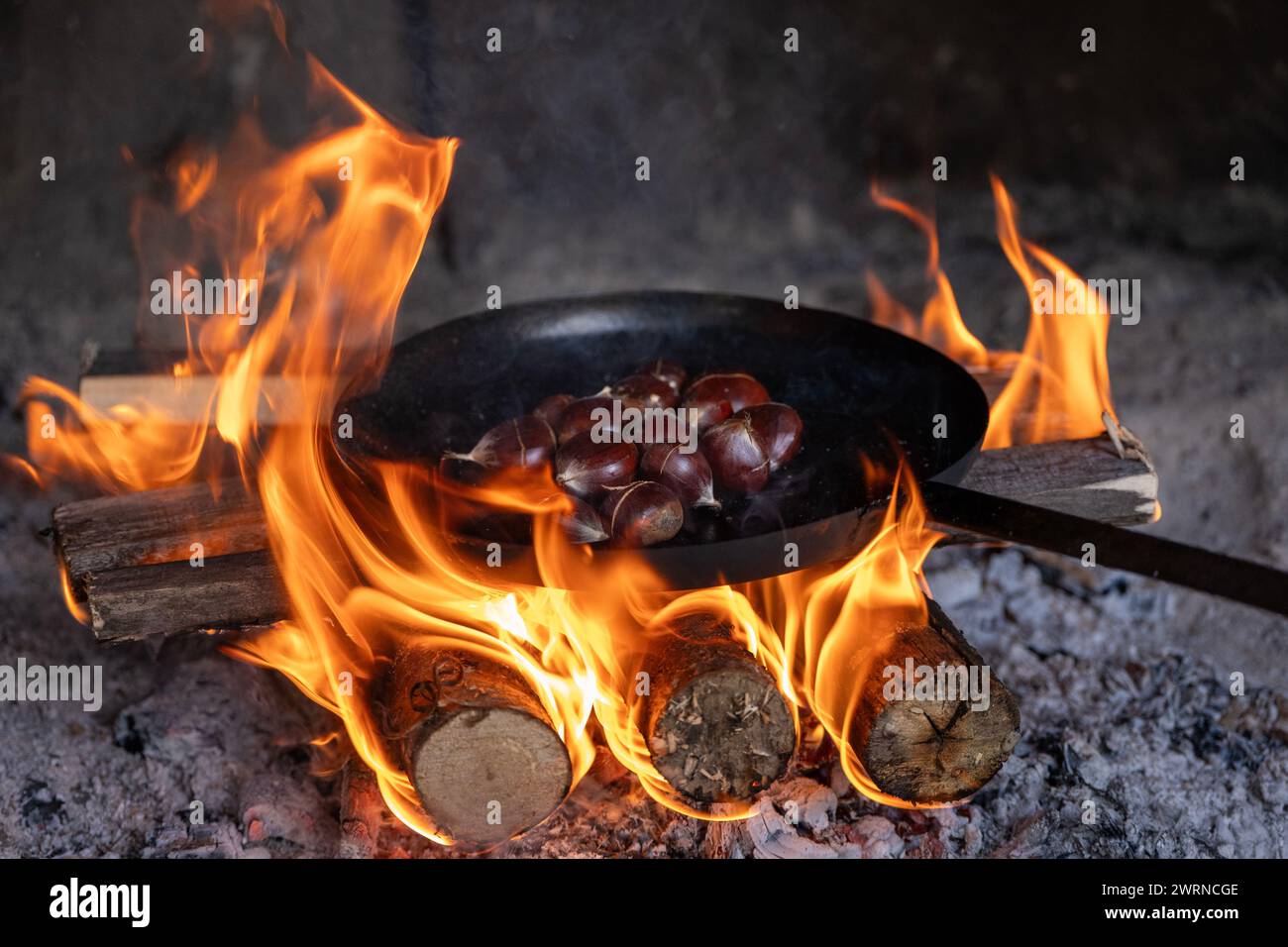 Kastanien werden in einer eisernen Pfanne über offenem Feuer gebraten Stockfoto