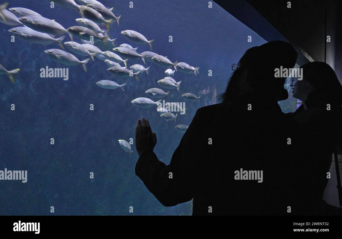 Ein jüdisches Paar aus Haredi betrachtet Fische im Gottesman Family Israel Aquarium, das der Erhaltung der aquatischen Lebensräume Israels gewidmet ist. Israel Stockfoto