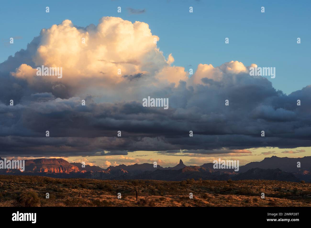 Blick auf die Weavers Needle bei Sonnenuntergang in den Superstition Mountains, Arizona Stockfoto