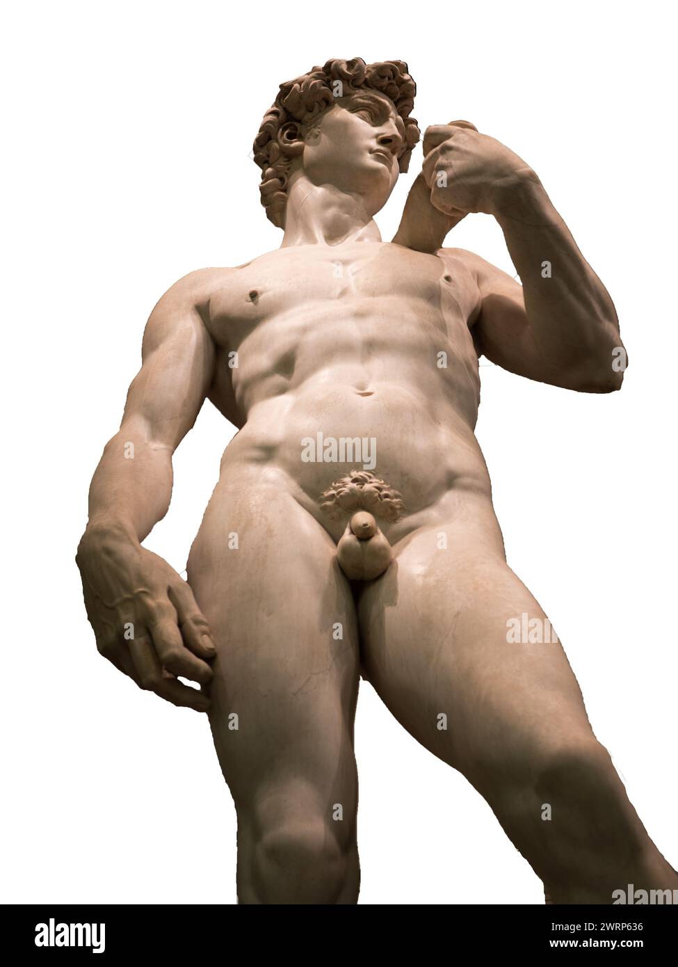michelangelo david Statue isoliert Stockfoto