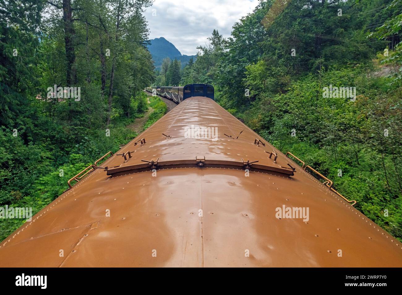 Rocky Mountaineer Zugwagen zwischen Vancouver und Jasper National Park, Kanada. Stockfoto