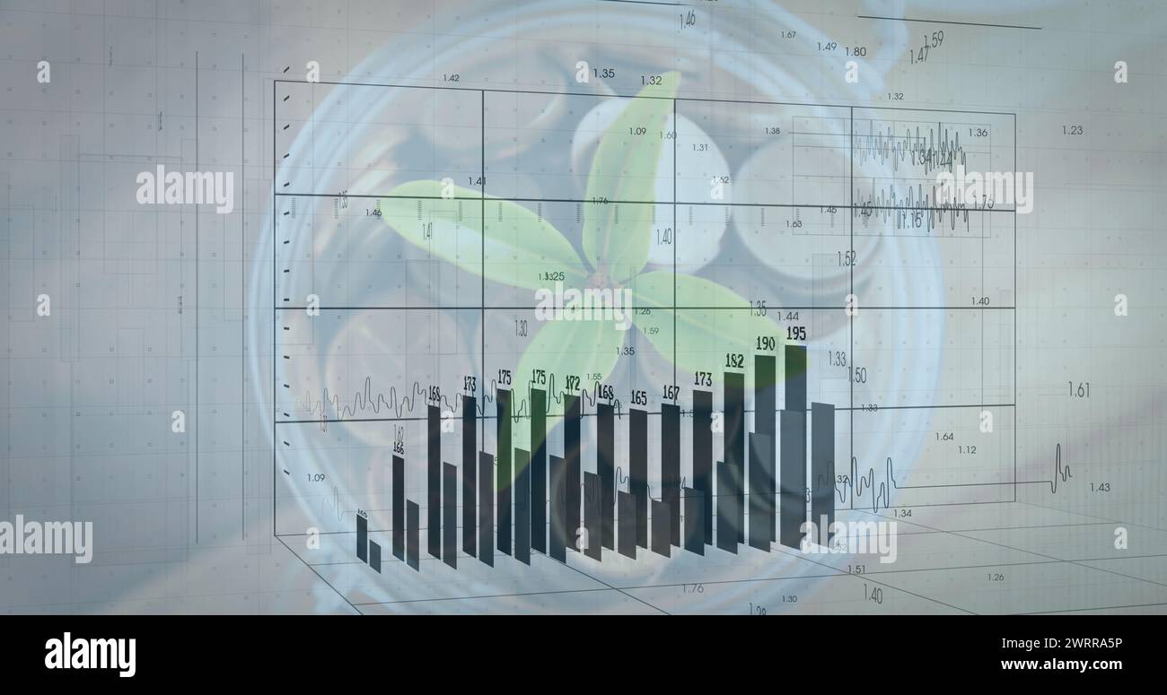 Bild der Verarbeitung von Finanzdaten über Münzen und Pflanzen auf weißem Hintergrund Stockfoto