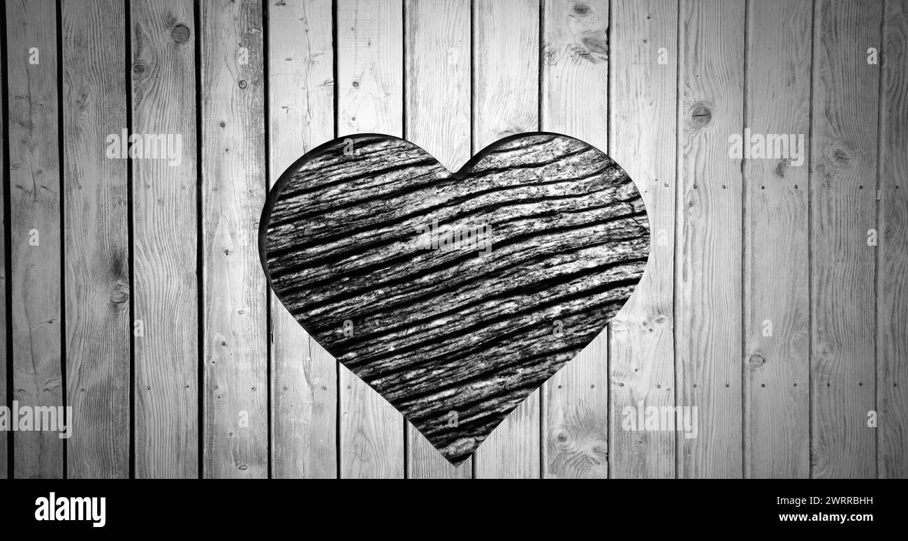 Bild der Herzform, die in Holz geschnitten ist, mit beweglichem Holzmasermuster, schwarz-weiß Stockfoto