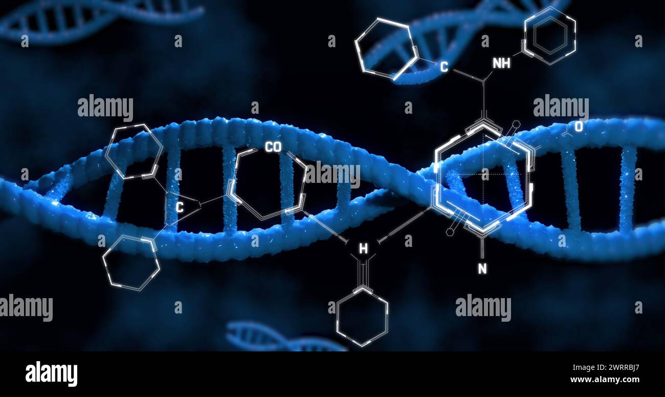Bild der dna, die sich über chemische Formeln dreht, auf schwarzem Hintergrund Stockfoto
