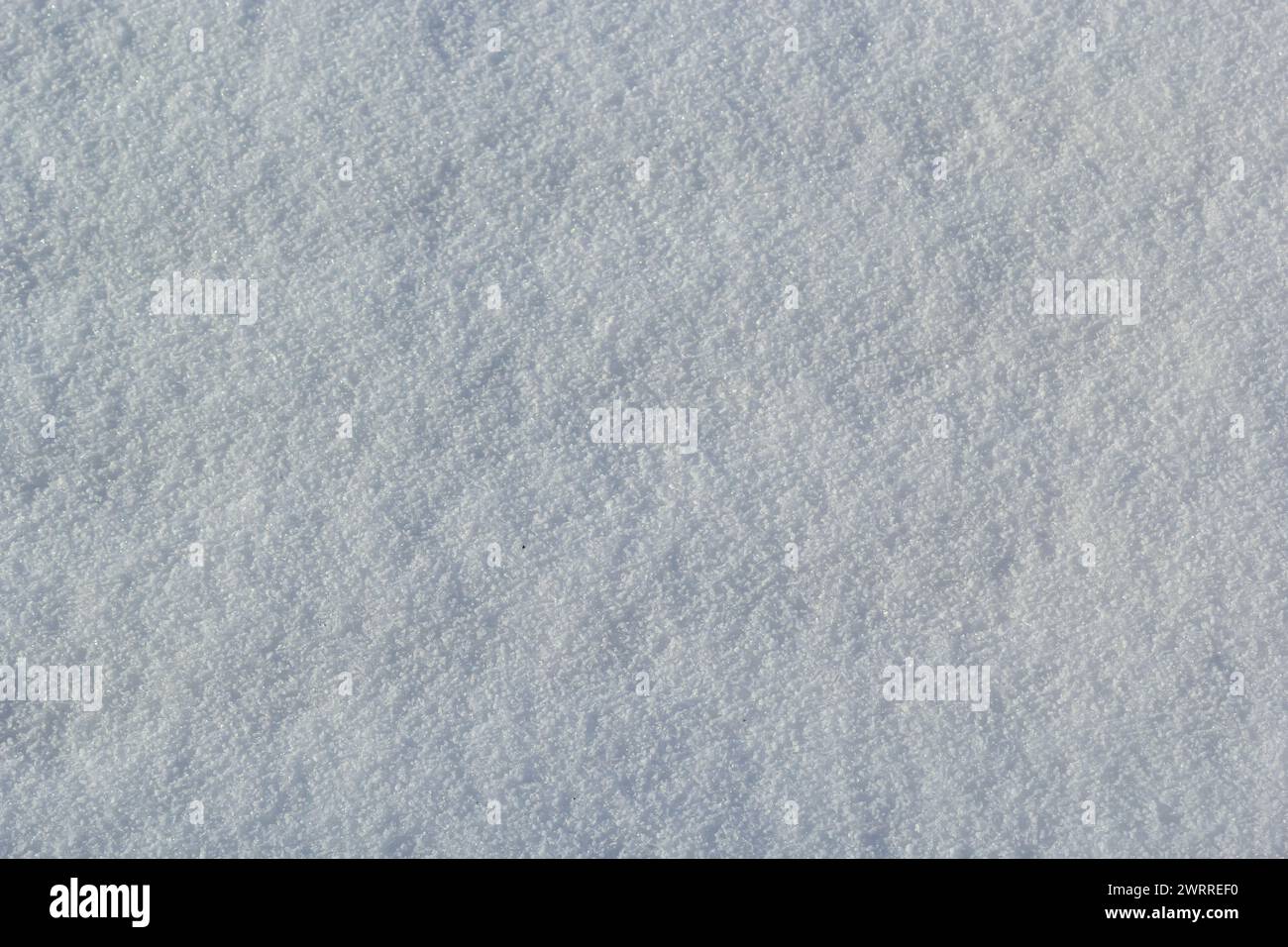 Winterkonzept mit weißer Schneestruktur im Hintergrund. Stockfoto