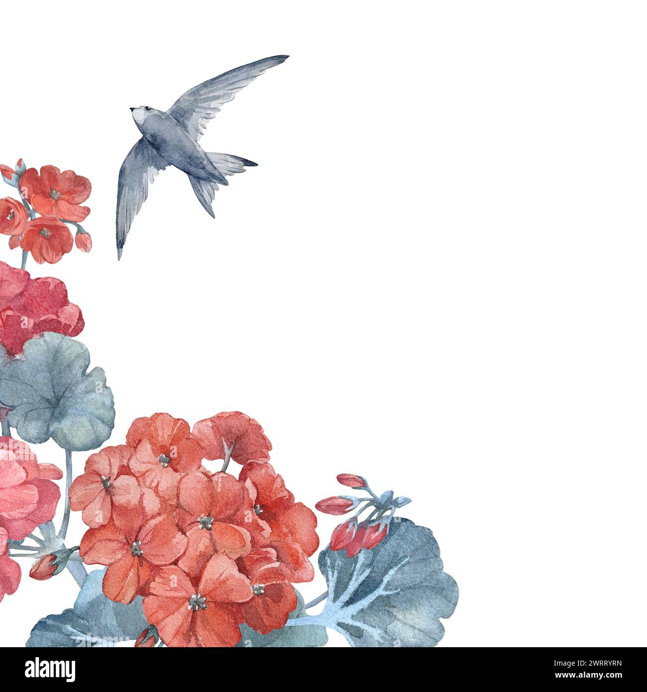 Komposition mit Zweigen und Blüten von Geranie, Vogel. Handgezeichnete Aquarellvorlage Stockfoto