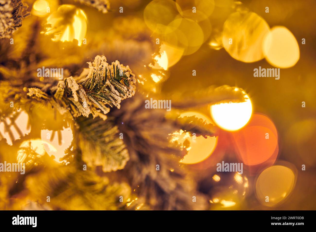 neujahrsweihnachtsbaum Zweig mit gelben flackernden Lichtern der Girlanden Kopierraum Hintergrund, frohe weihnachten und fröhliche Neujahrsstimmung, funkelndes Licht Stockfoto