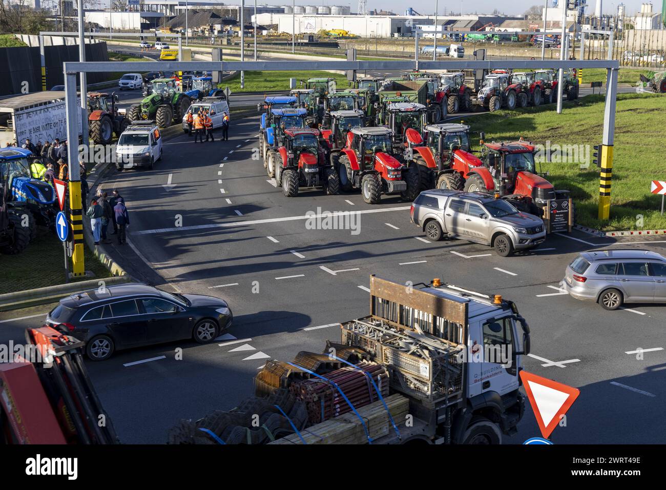Gent, Belgien. März 2024. Traktoren werden auf der Turborotonde während eines Bauernprotests gesehen, der am Donnerstag, den 14. März 2024, die Einfahrt von LKWs zum Hafen von Gent blockierte. Zwei unabhängige Junglandwirte-Verbände protestieren weiterhin gegen die strengen Stickstoffvorschriften für Landwirte. Durch die Sperrung der Häfen wollen die Landwirte darauf hinweisen, dass es vor allem die Industrie ist, die Stickstoff ausstößt, und nicht die Landwirtschaft. BELGA FOTO NICOLAS MAETERLINCK Credit: Belga News Agency/Alamy Live News Stockfoto
