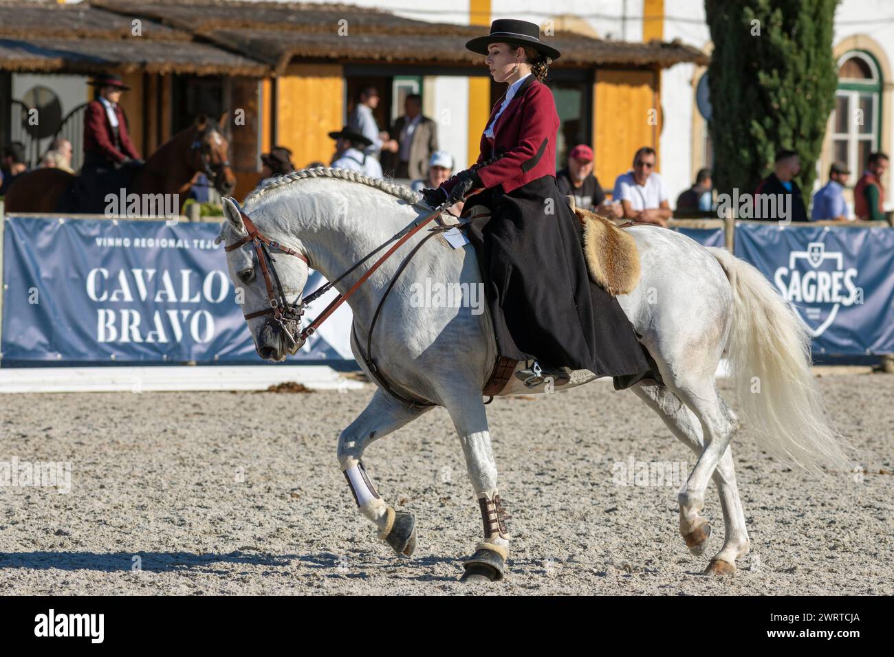 Portugal, Region Alentejo, Golega, Frau, die auf dem weißen Lusitano Pferd reitet und traditionelle Trachten trägt, auf der Golega Pferdemesse Stockfoto