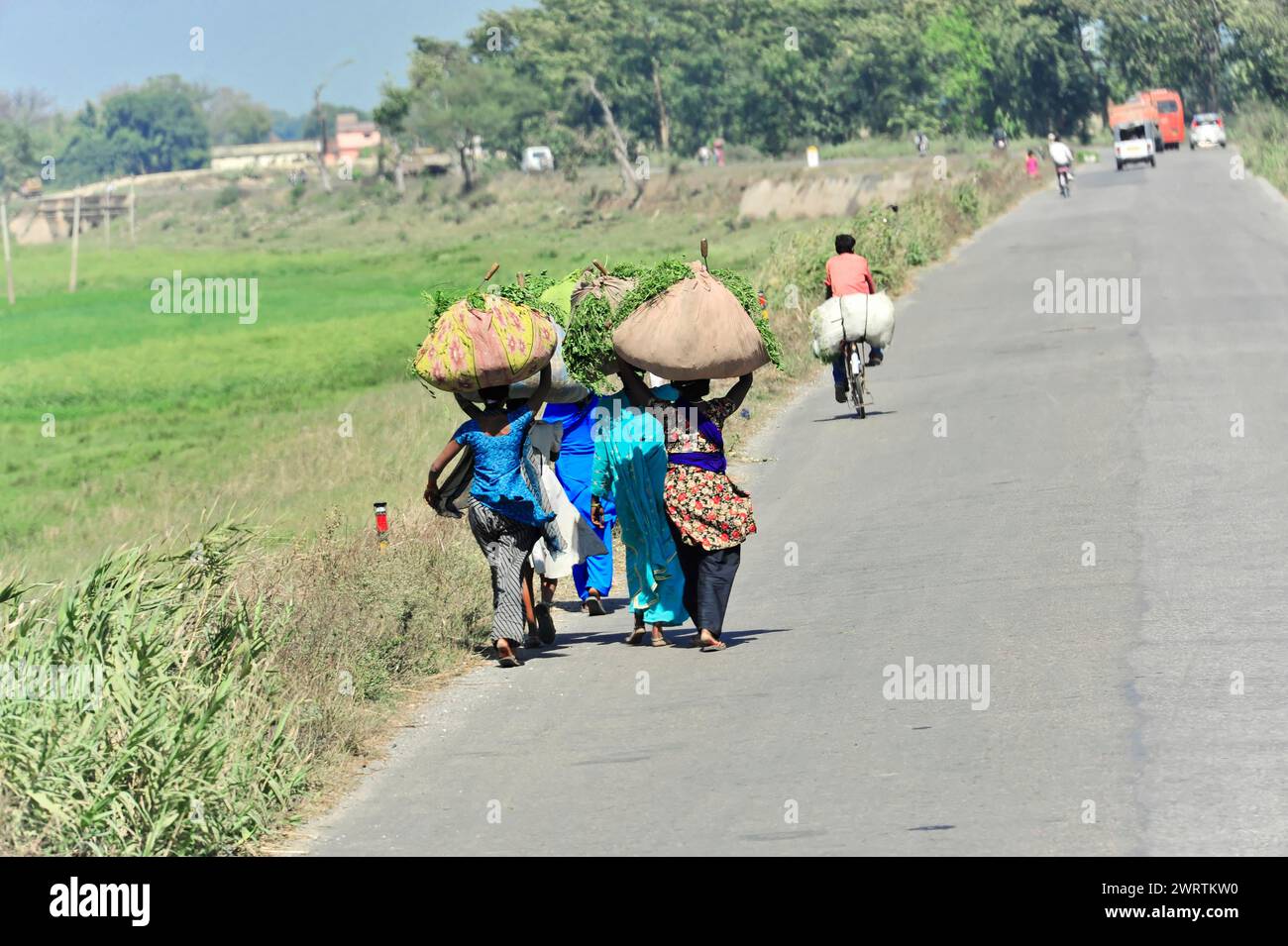 Drei Frauen tragen schwere Lasten auf dem Kopf und gehen auf einer Straße entlang, Grenze zwischen Indien und Nepal, Gorakhpur, Bhairahawa, Indien, Nepal Stockfoto