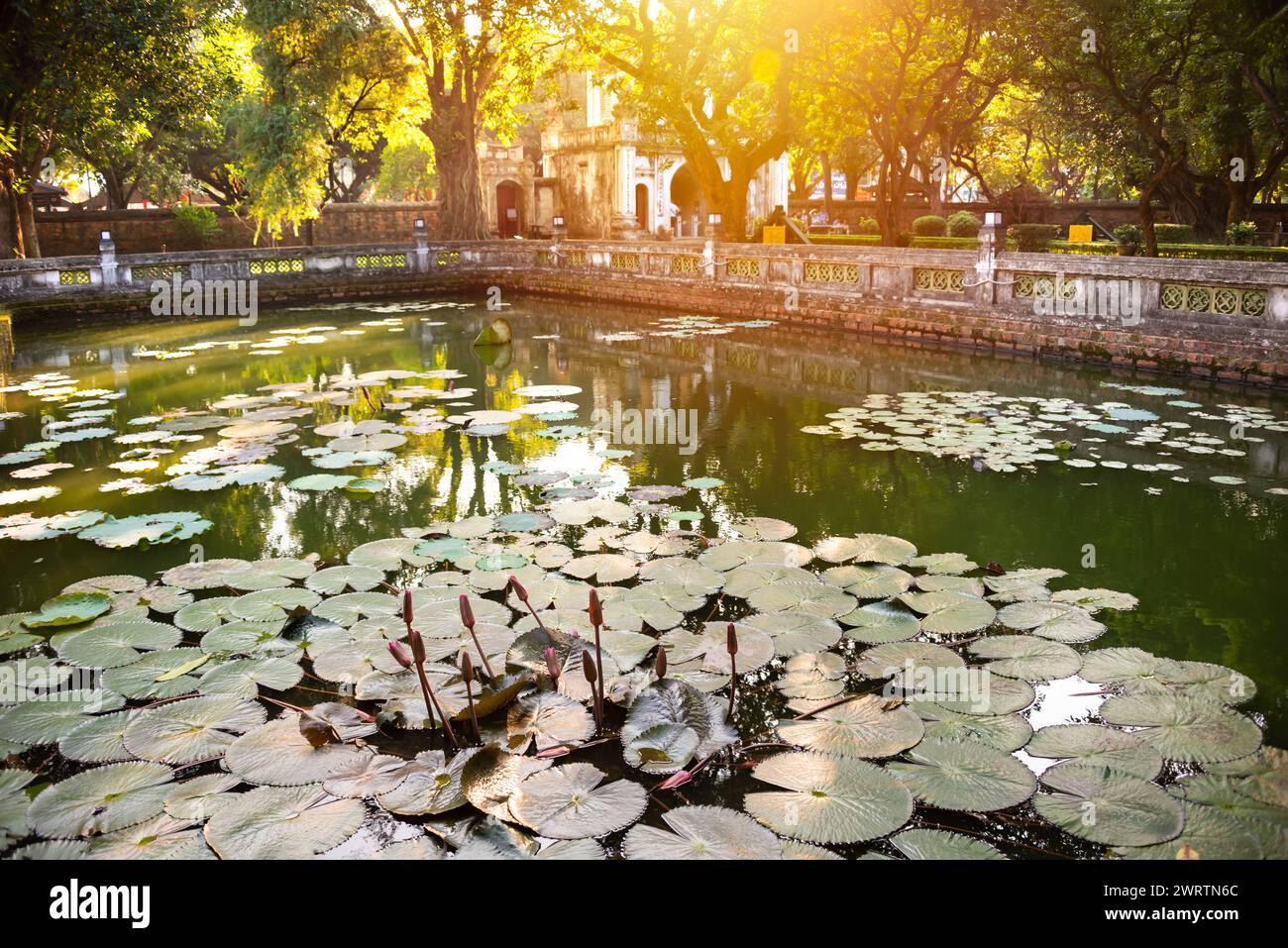 Teich am Literaturtempel in Hanoi, Vietnam Stockfoto
