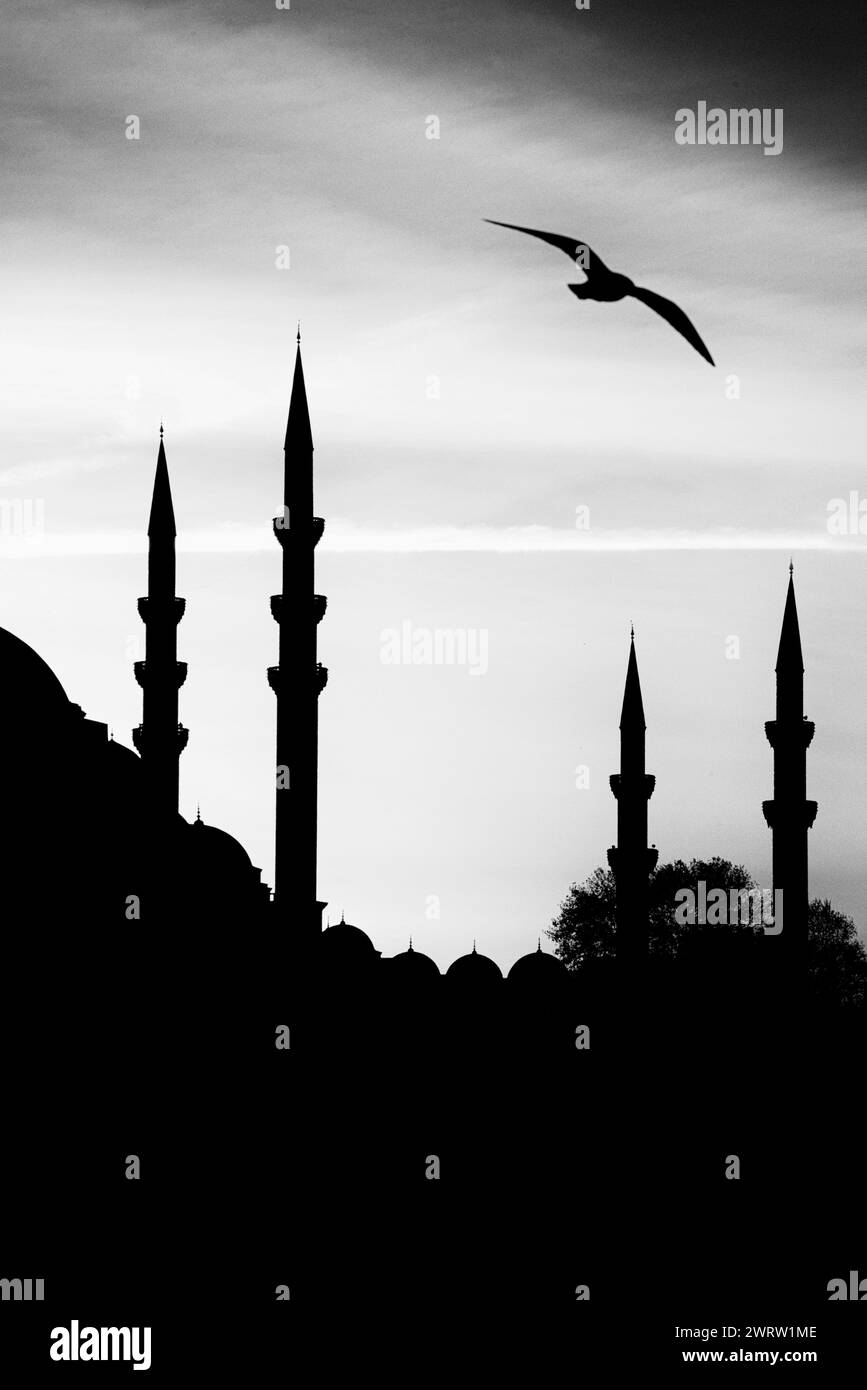 Historische Suleymaniye Moschee Foto in Istanbul, Türkiye Stockfoto