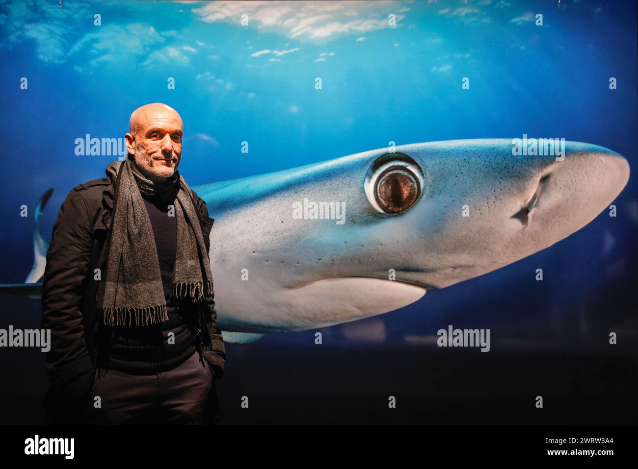 Oberhausen, Deutschland. März 2024. Ko-Kurator der Ausstellung und Kurator von „The Wave“, Nils Sparwasser, mit einem der Exponate, „Blickkontakt“ von Tobias Friedrich, dem Bild eines Blauhais (Carcharhinus glaucus) auf den Ausstellungsplakaten. „Planet Ozean“ (Planet Ozean) wird vom 15. März bis Ende Dezember 2024 in diesem beliebten Ausstellungsort gezeigt. Die Ausstellung veranschaulicht die Schönheit der Ozeanwelt sowie ihre ökologischen Herausforderungen. Es umfasst rund 160 großformatige Fotos, Videos, Sound sowie weitere Exponate aus dem Ozean und der Natur Stockfoto