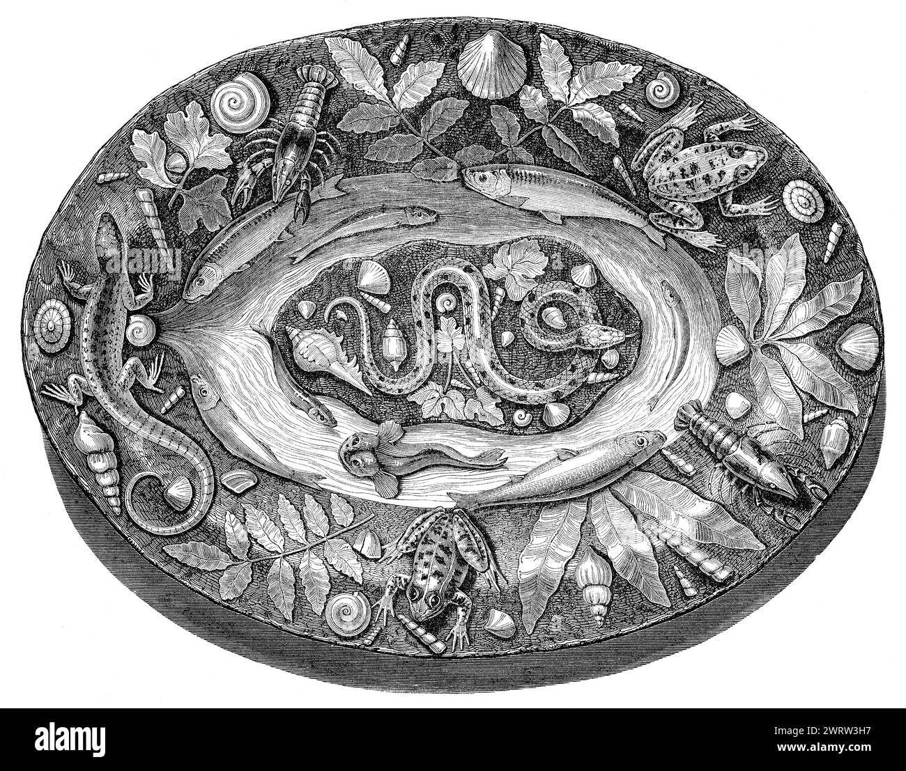 Rusticware Platte von Bernard Palissy, französischer HugenottenTöpfer, 16. Jahrhundert Stockfoto