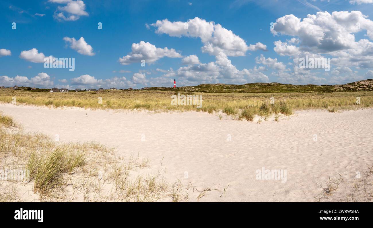 Panorama von Leuchtturm, Marramgras und Dünen, Hoernum Odde, Insel Sylt, Nordfriesland, Schleswig-Holstein, Deutschland Stockfoto