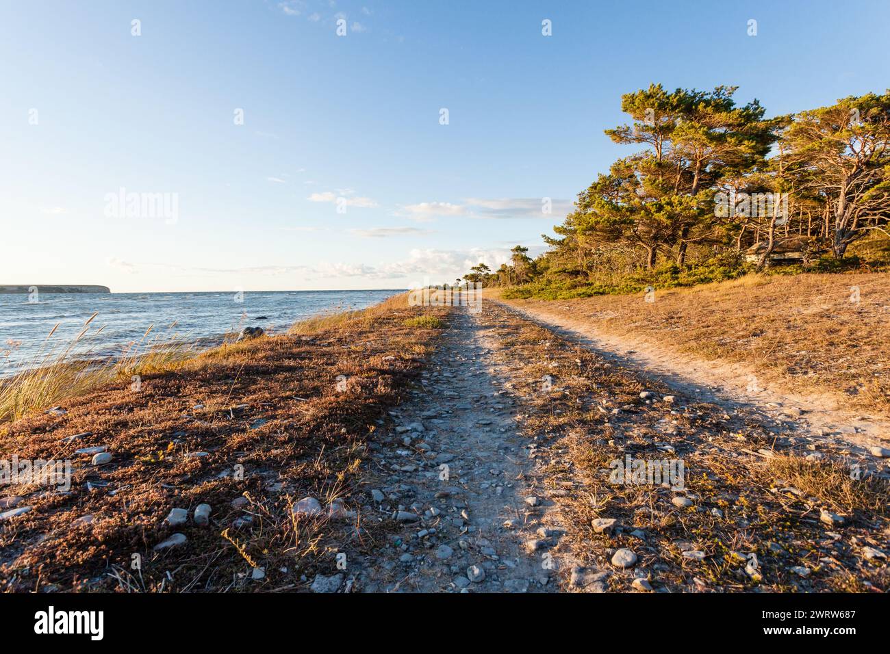 Wunderschöne Landstraße an der Küste in Gotland Stockfoto