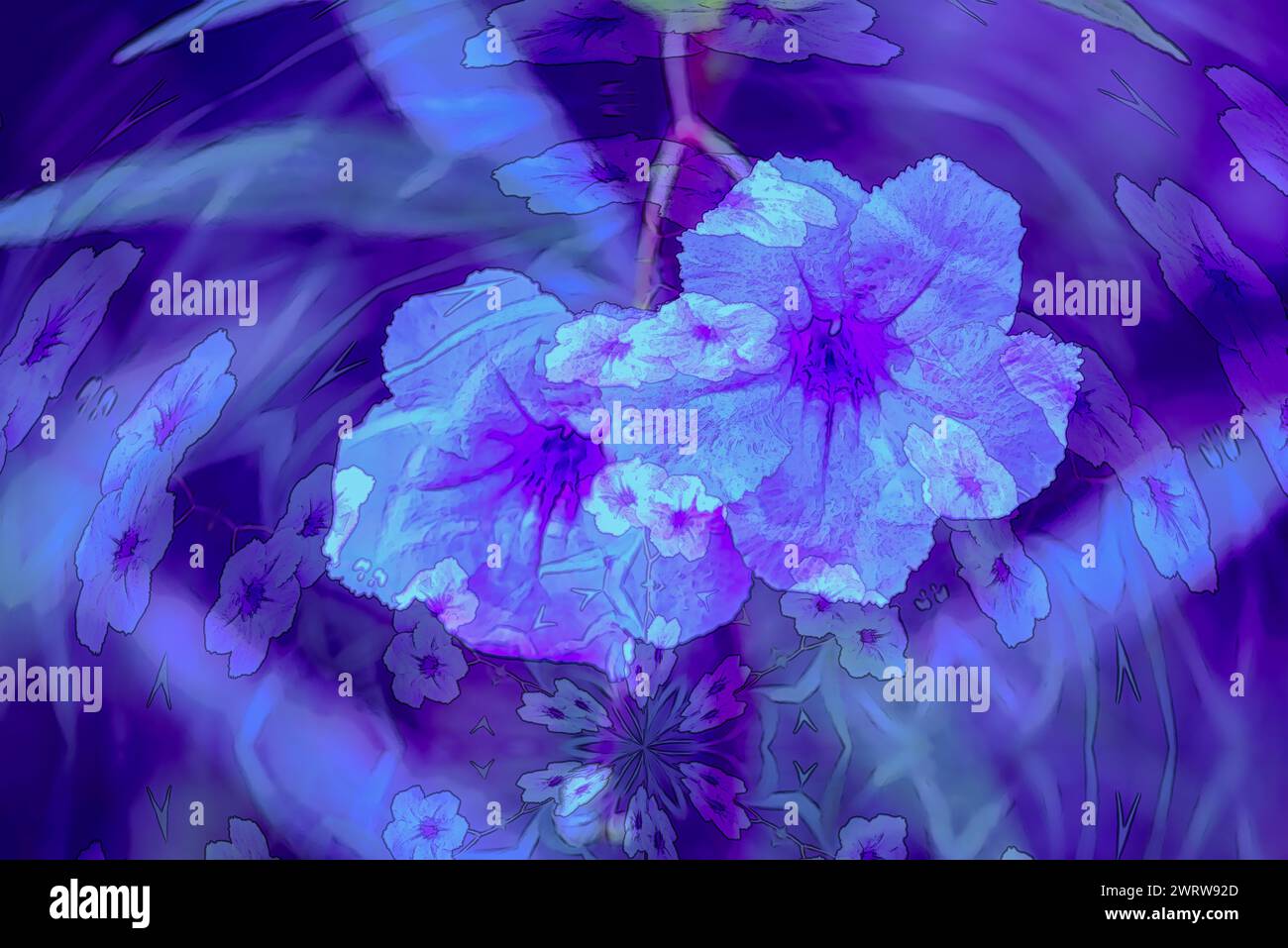 „Floral Kaleidoskop: Eine faszinierende Abstraktion entsteht, wenn zwei leuchtende lila Blüten ineinander greifen und ein faszinierendes Kaleidoskop schaffen Stockfoto