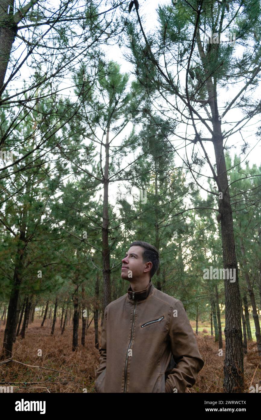Stockfoto Eines jungen Mannes, der allein in einem Wald steht und Bäume hinaufschaut Stockfoto