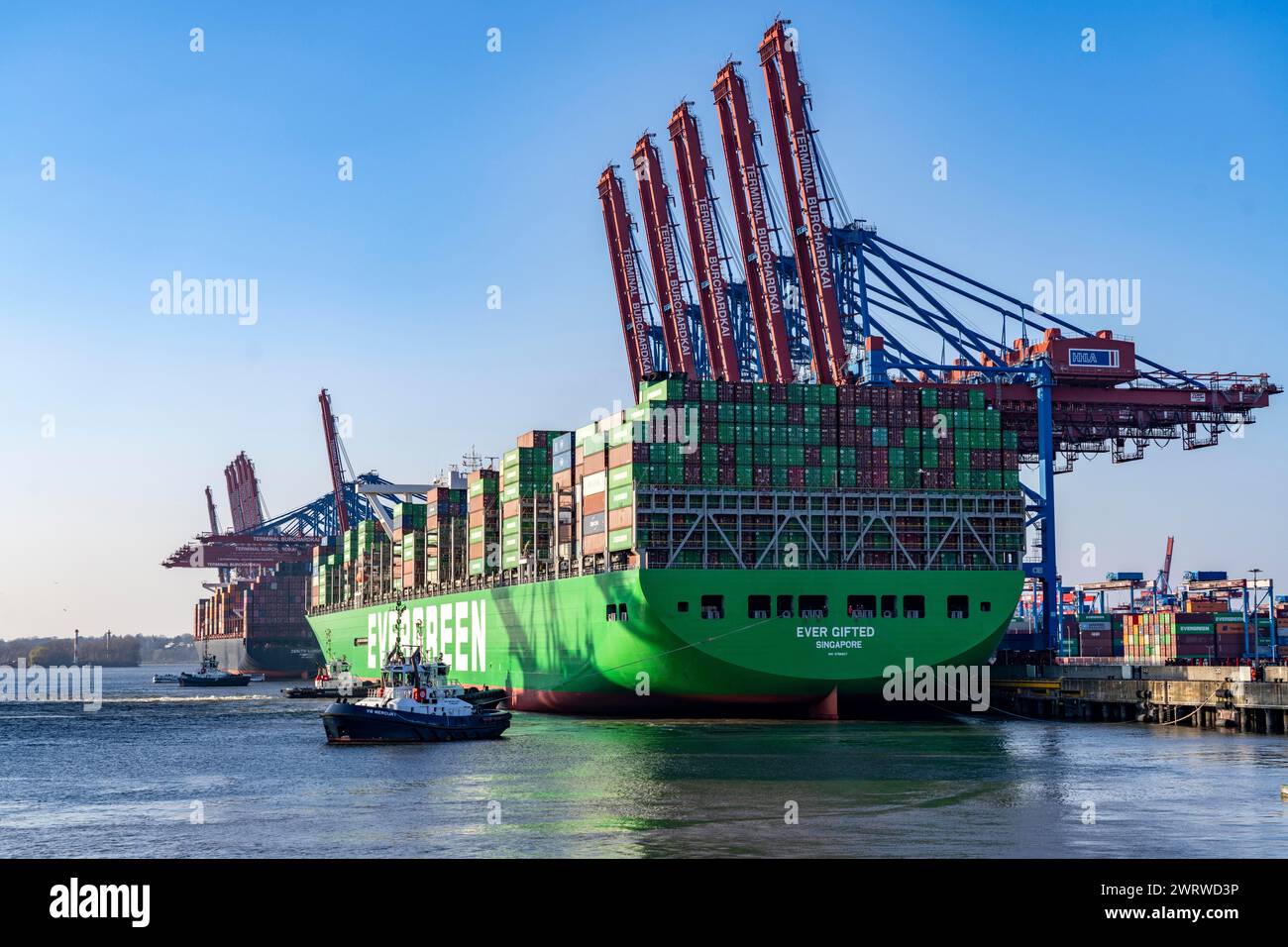 Containerschiff, das jemals begabt ist und im Hamburger Hafen, Waltershofer Hafen, HHLA Containerterminal Burchardkai ankommt, manövrieren 4 Hafenschlepper das Schiff Stockfoto