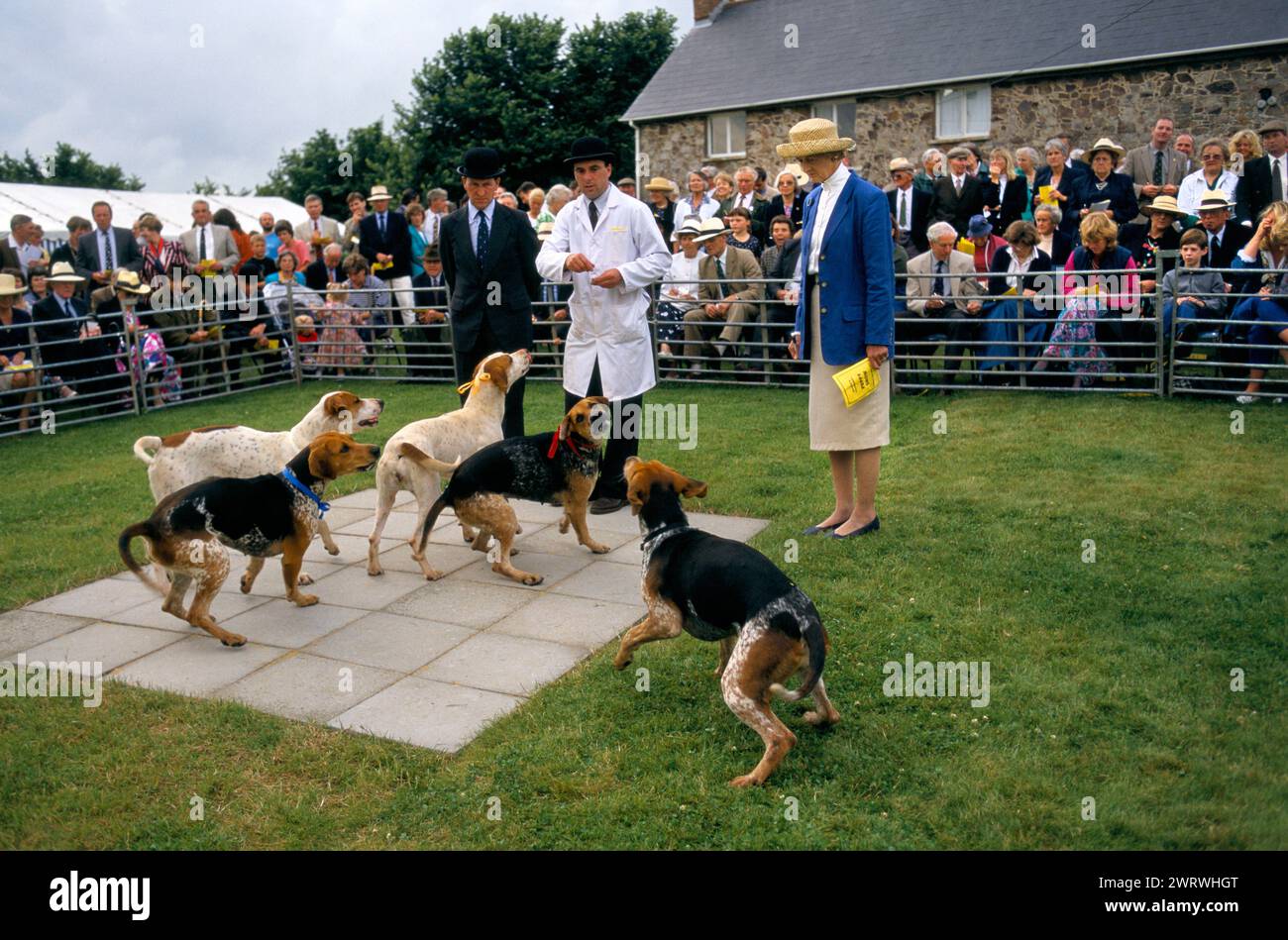 Hündchenschau, die jährlich im Sommer stattfindet, um den besten Hund zu finden. Zwei Richter verurteilen die Welpen. Jage Diener in weißem Mantel und Bowler-Hut. Quantock Staghounds Somerset und Exmoor Devon 1990s UK. 1997 HOMER SYKES Stockfoto