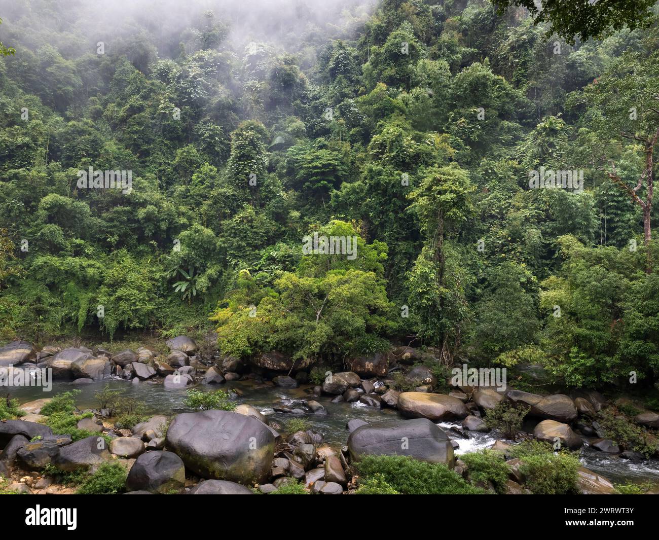 Blick auf den Fluss, der im Tal fließt, Khao Sok Nature Reserve, Thailand Stockfoto