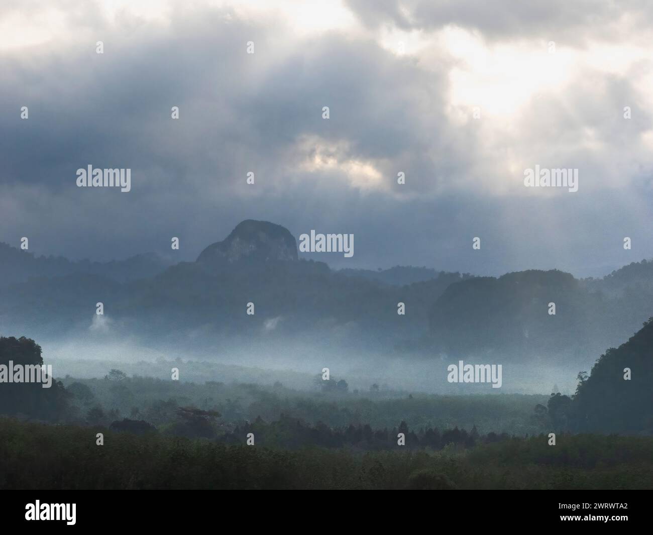 Blick auf das Tal mit Morgennebel in der Nähe des Khao Sok Naturschutzgebiets, Thailand Stockfoto