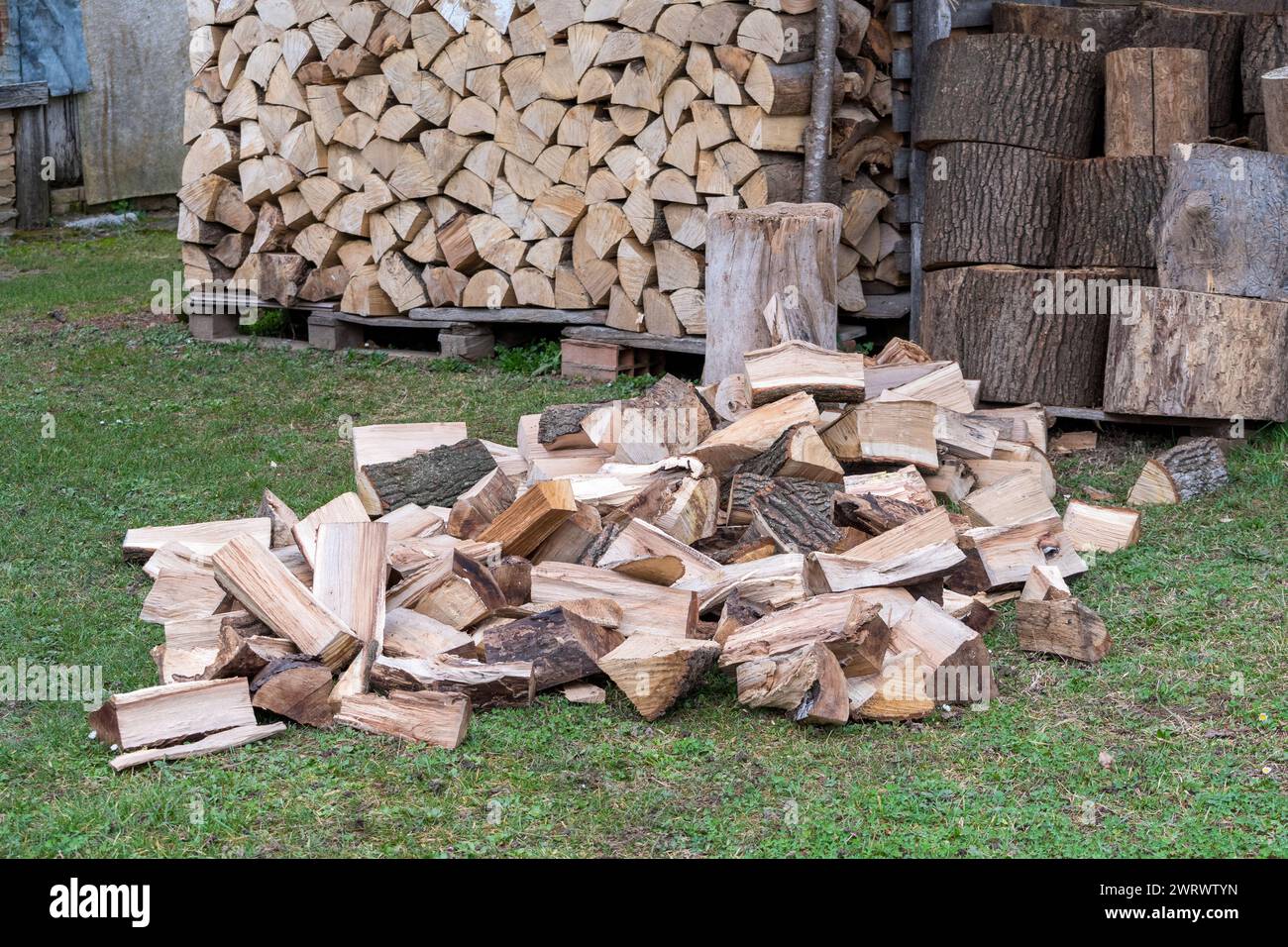 Ein Haufen Brennholz in einem Garten. Vorbereitungsarbeiten für Holz zum Verbrennen in einem Haus in Norditalien. Manuelle Verarbeitung. Stockfoto