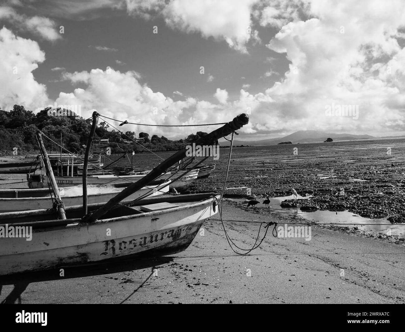 Ein Schwarzweißfoto eines Bootes, das am Wasserrand geparkt ist Stockfoto