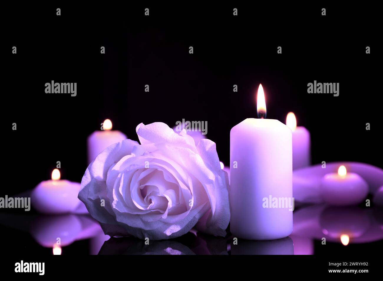 Violette Rose und brennende Kerze auf schwarzer Spiegeloberfläche in Dunkelheit, Nahaufnahme. Beerdigungsattribute Stockfoto