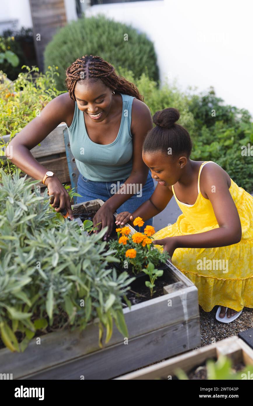 Afroamerikanische Mutter und Tochter neigen dazu, Pflanzen zu gärten Stockfoto