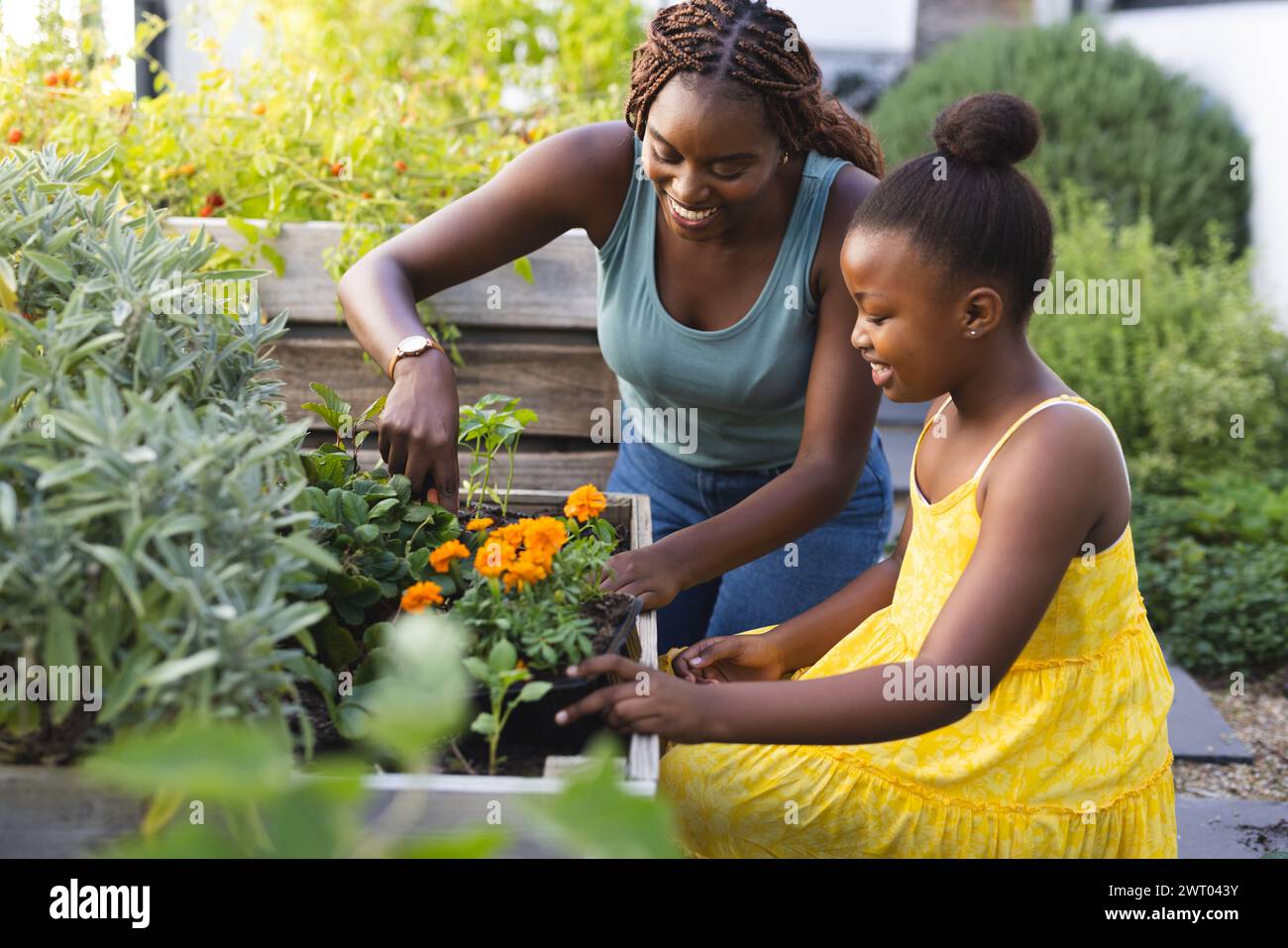 Afroamerikanische Mutter und Tochter Pflanzen im Garten im Sonnenlicht Stockfoto