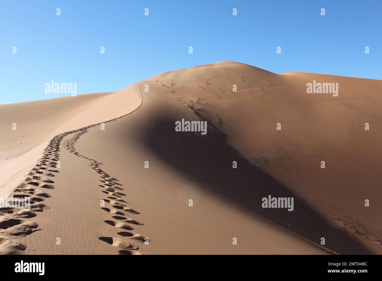 Wandern Sie durch die große Daddy-Düne in Namibia auf einer Spur von Fußstapfen die Düne hinauf. Stockfoto