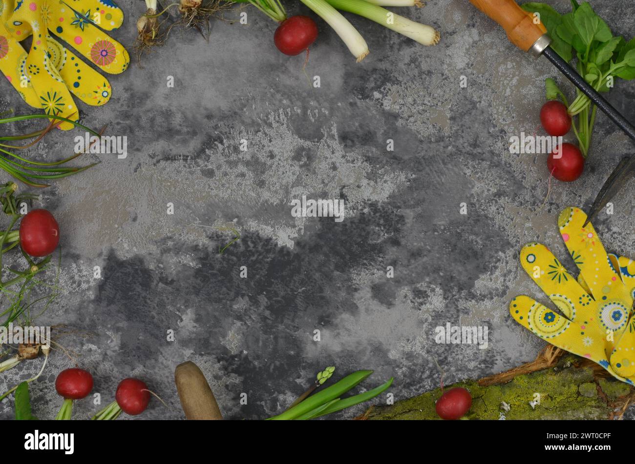 Rahmen mit Ernte aus dem Garten, leerer Raum zum Füllen mit Inhalt in einem mittleren, grunge Hintergrund. Stockfoto