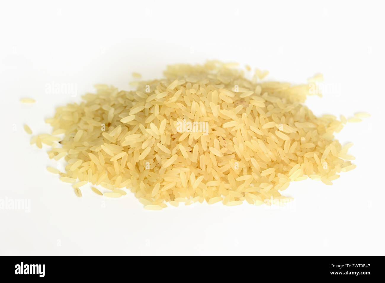Reis (Oryza sativa), Reiskörner auf weißem Hintergrund Stockfoto
