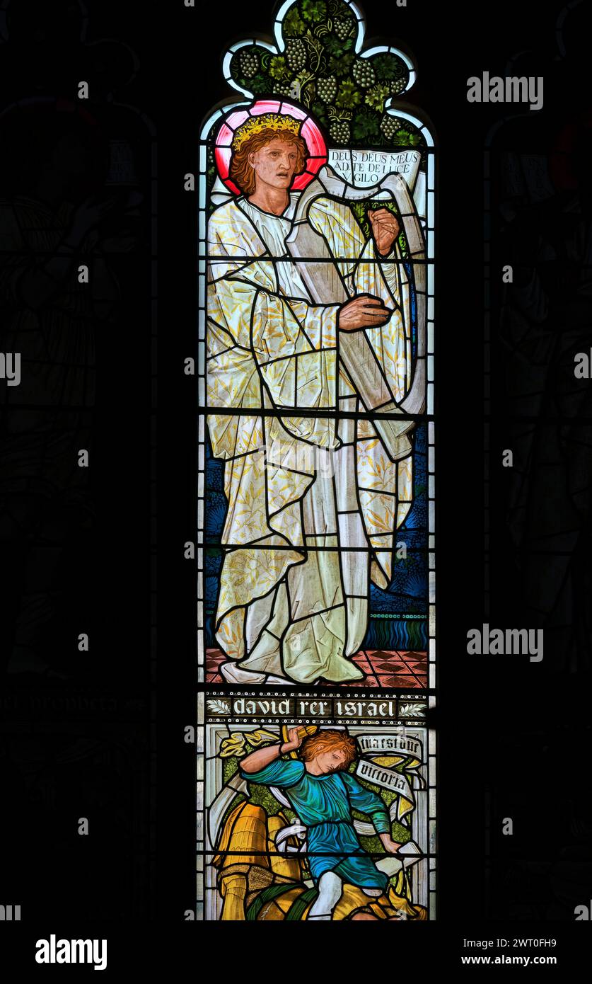 David, König von Israel, Lustration in der Christ Church College Cathedral, University of Oxford, England. Stockfoto