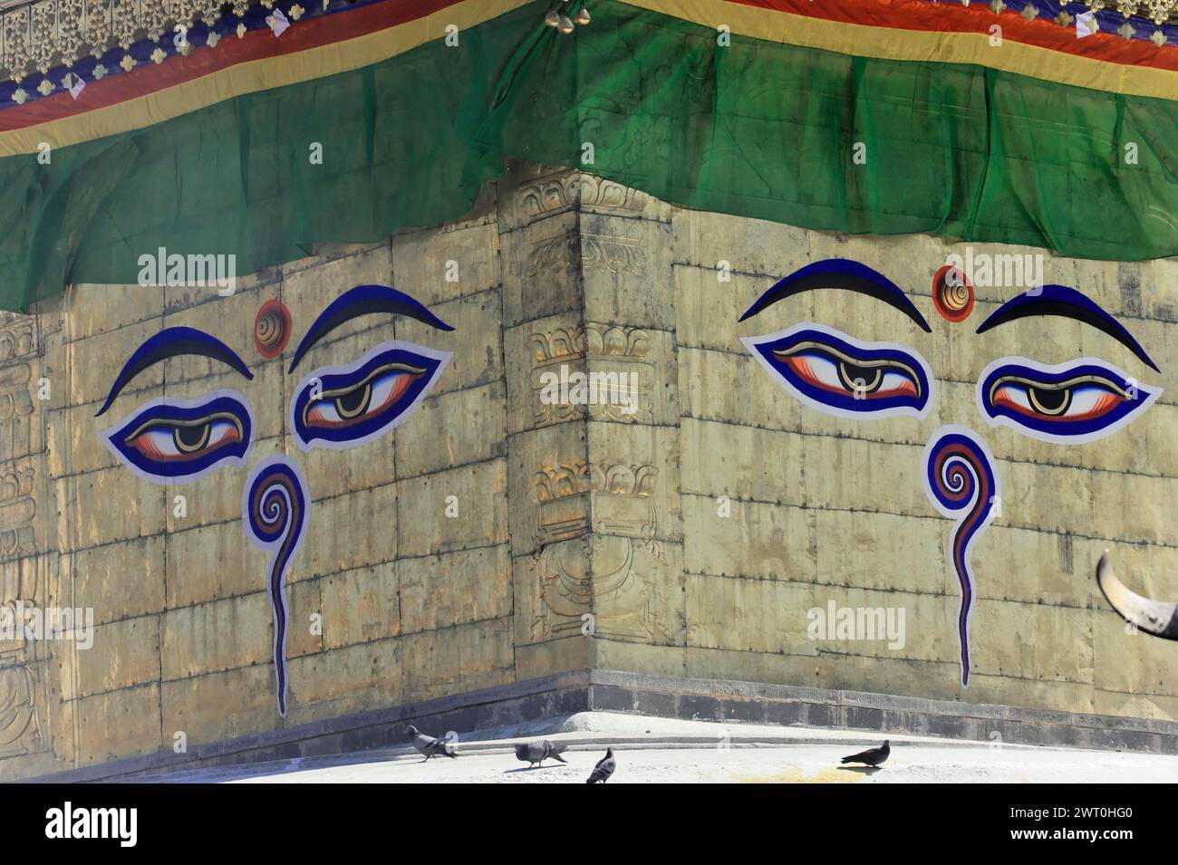 Malerische Buddha-Augen auf einer Stupa mit Tauben im Vordergrund, Kathmandu-Tal, Kathmandu, Nepal Stockfoto