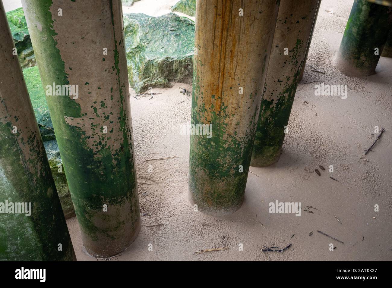 Starke Betonsäulen unter dem Pier am Strand mit grüner Meeresalge Stockfoto