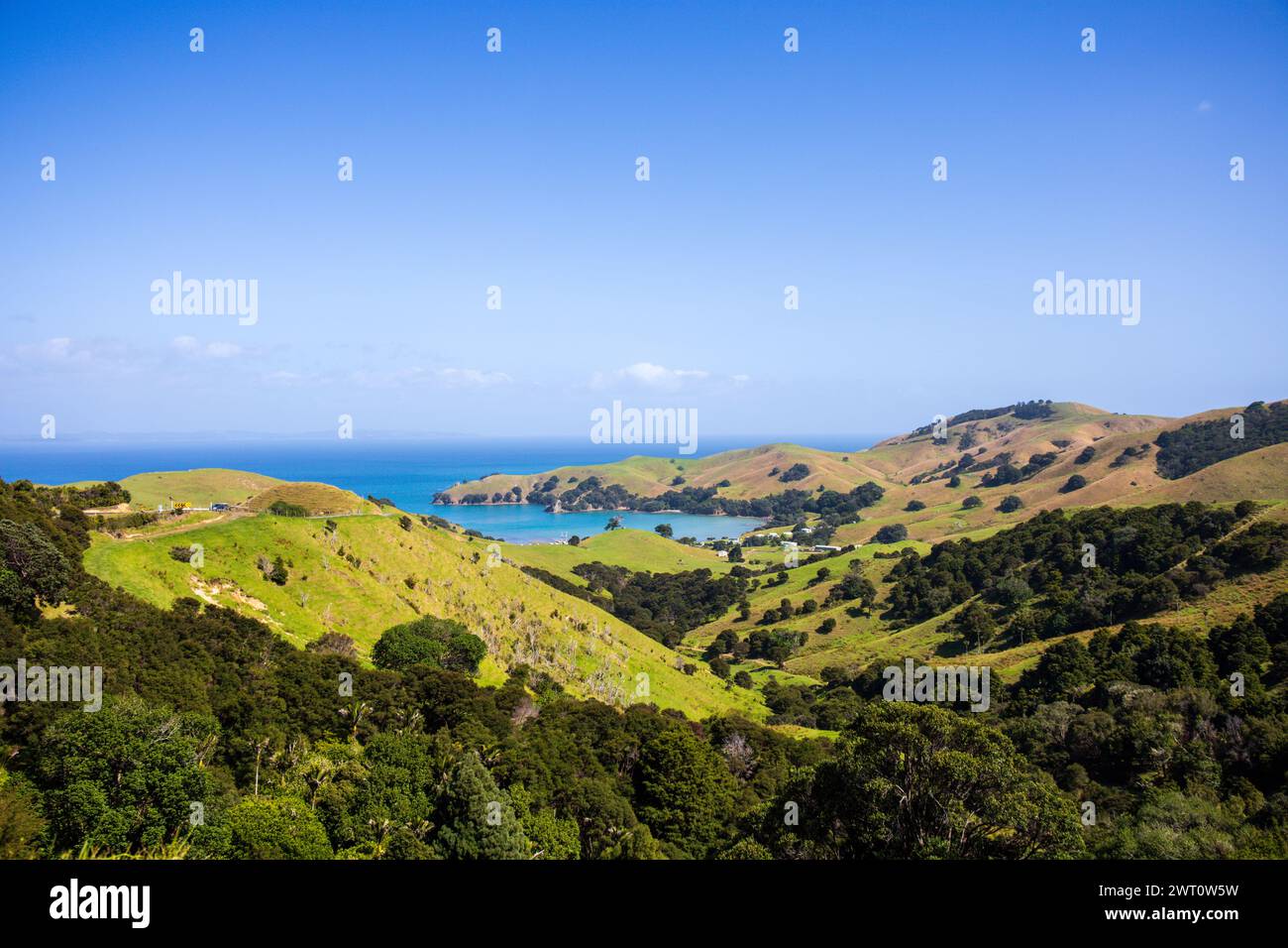 Üppige grüne Hügel Neuseelands am sonnigen Tag Stockfoto