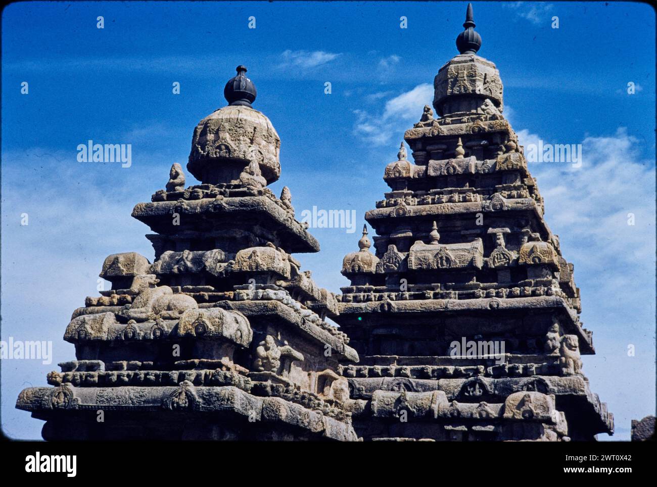 Indien Māmallapuram Landtempel unveröffentlichtes Bild 1. Swaan, Wim. 1968 oder früher fotografische Produktionsmaterialien für Städte in Mughul Indien: Delhi, Agra, Fatehpur Sikri Fotografien der Architektur wurden aus diesen Materialien ausgewählt und digitalisiert. Porträts, ethnographische Bilder und Bilder von Museumsgegenständen waren ausgeschlossen. Digitale Bilder werden geografisch angeordnet, zuerst nach Land, dann nach Stadt, dann nach Standortkomplex oder Denkmal, mit allen Namen in alphabetischer Reihenfolge. Ortsnamen sind abgeleitet von Getty Thesaurus of Geographic Names (TGN)®, Library of Congress Subject Headings und Schol Stockfoto