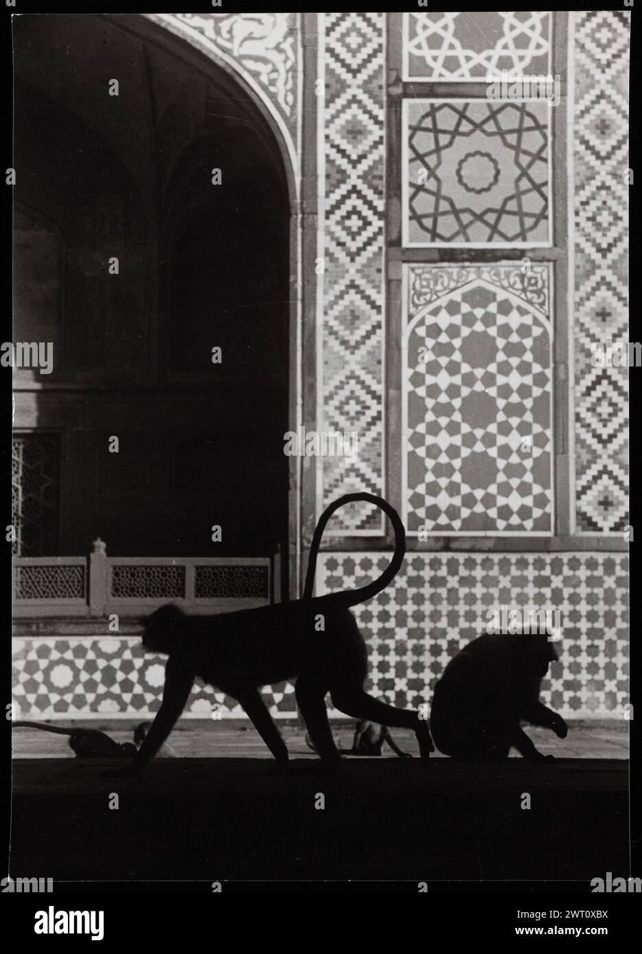 Indien Sikandra Akbars Grab unveröffentlichtes Bild 4. Swaan, Wim. 1968 oder früher fotografische Produktionsmaterialien für Städte in Mughul Indien: Delhi, Agra, Fatehpur Sikri Fotografien der Architektur wurden aus diesen Materialien ausgewählt und digitalisiert. Porträts, ethnographische Bilder und Bilder von Museumsgegenständen waren ausgeschlossen. Digitale Bilder werden geografisch angeordnet, zuerst nach Land, dann nach Stadt, dann nach Standortkomplex oder Denkmal, mit allen Namen in alphabetischer Reihenfolge. Ortsnamen sind abgeleitet von Getty Thesaurus of Geographic Names (TGN)®, Library of Congress Subject Headings und Scientific Stockfoto