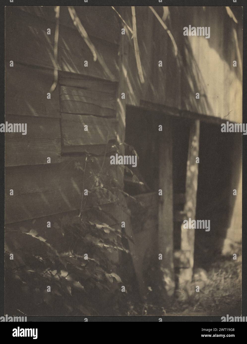 Seite der alten Scheune, Eingang rechts. Doris Ulmann, Fotograf (Amerikaner, 1882–1934) 1925–1934 Seite einer alten Scheune mit dem Eingang rechts. Im Vordergrund wächst vor der Holzwand ein Büschel. (Rückseitig, Bild) links unten, mit Bleistift: '2 [eingekreist]'; Stockfoto