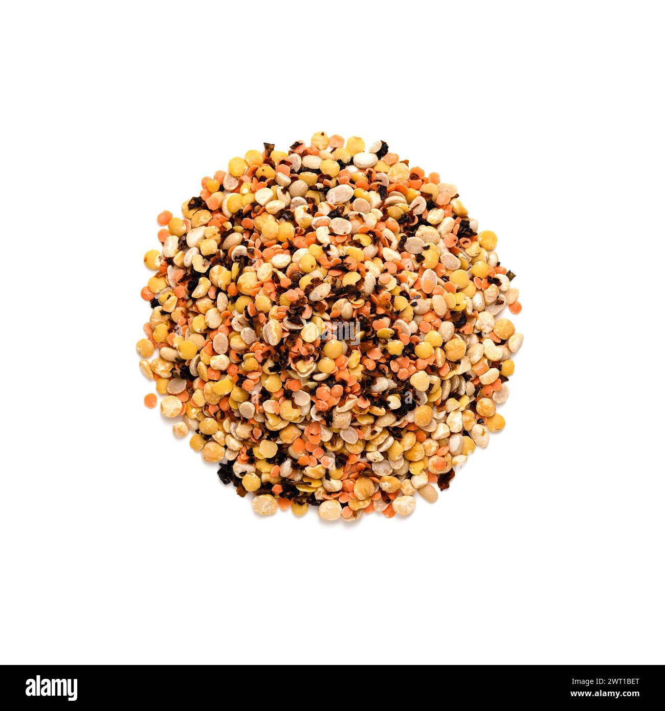 Draufsicht auf verschiedene Arten von getrockneten Leguminosen aus biologischem Anbau. Gemischte Leguminosen. Linsen, Bohnen, Erbsen, Kichererbsen Stockfoto