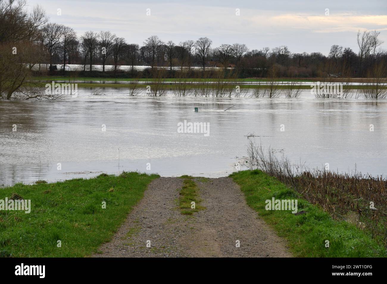 Hochwasser der Lippe im Winter 2023, Deutschland, Nordrhein-Westfalen, Ruhrgebiet, Datteln Stockfoto